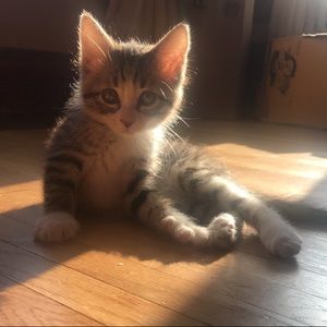 Meet your Posher, Anna